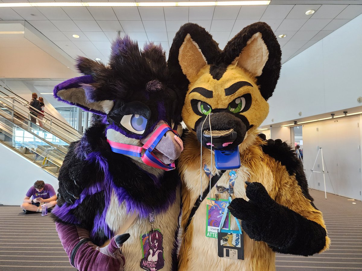 A bit late due to staying out waaaay to late at the #anthrocon25 rave xvx
I'm sore, but man has it been so much fun so far suiting around and meeting everyone!
If anyone snags any pictures of this bird, please tag me!