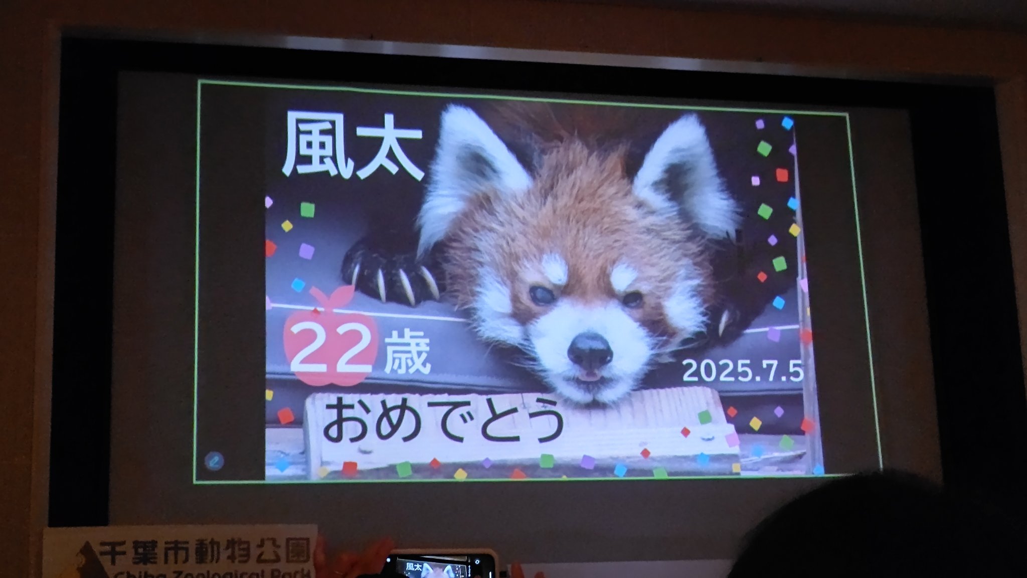 mayu on X: 