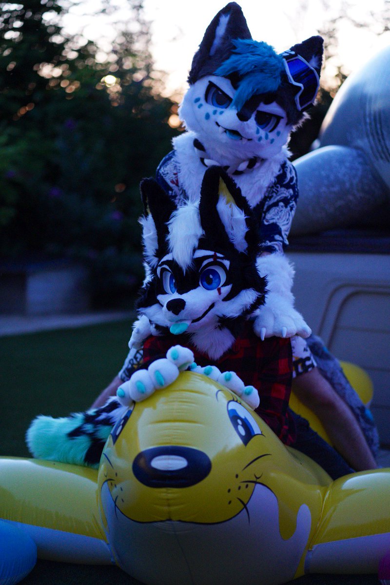 Happy doggo and happy boyo I wish you all a pleasant day and much happiness ^^🐶🐱🎈

🐱: <a href="/WhitePanth3r99/">White</a> 
 #SqueakySaturday ^^ hihi