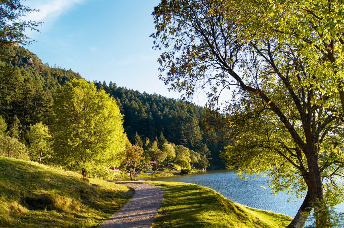 Quiero compartirles esta postal de #ElCedral, en #MineralDelChico.

#HidalgoTieneAlgo, y este es un lugar lleno de belleza y tranquilidad. 🌿

Ideal para disfrutar en familia, caminar al aire libre y reconectar con la naturaleza. ¿Lo han visitado?

#VamosConTodo