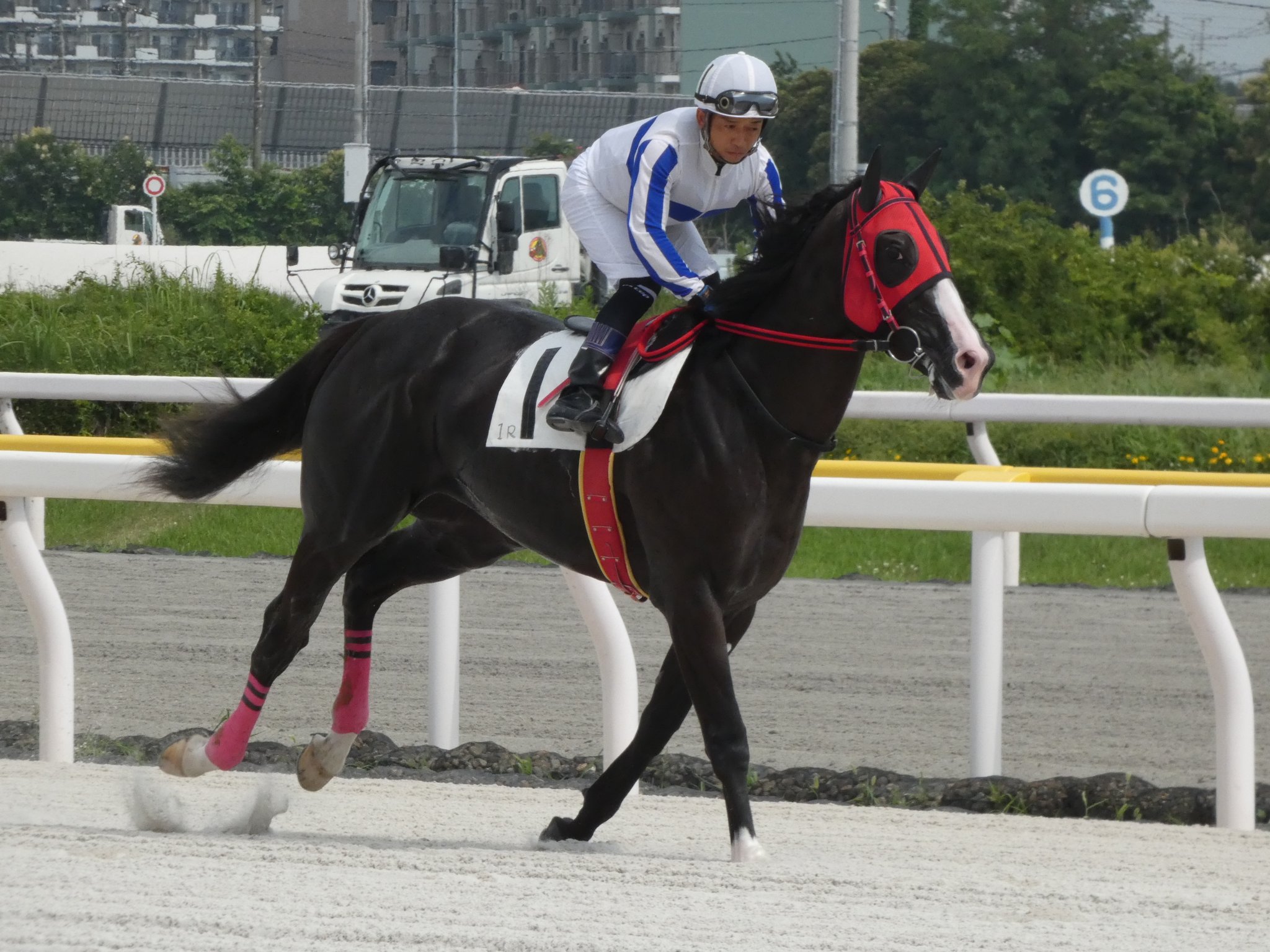 競馬占星術 : 儲かるST方式 早崎郁舟 著、東京スポーツ新聞社 初版 坂本の土曜注目馬【福島11R・安達太良S】 - スポーツ報知
