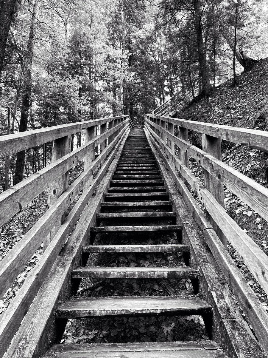 Sophie Pérusse 🇨🇦🇨🇦🇨🇦 (@sopheverafter) on Twitter photo #StaircaseSaturday #StaircaseSaturday