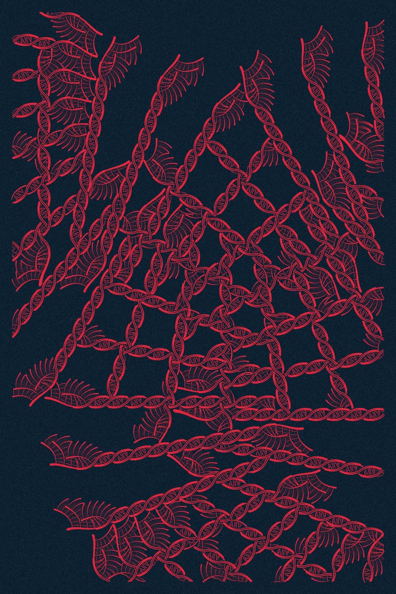 camillerouxart's tweet image. Intricada 152 and 164 just found a new home — big congrats to their new owner, streu.eth!