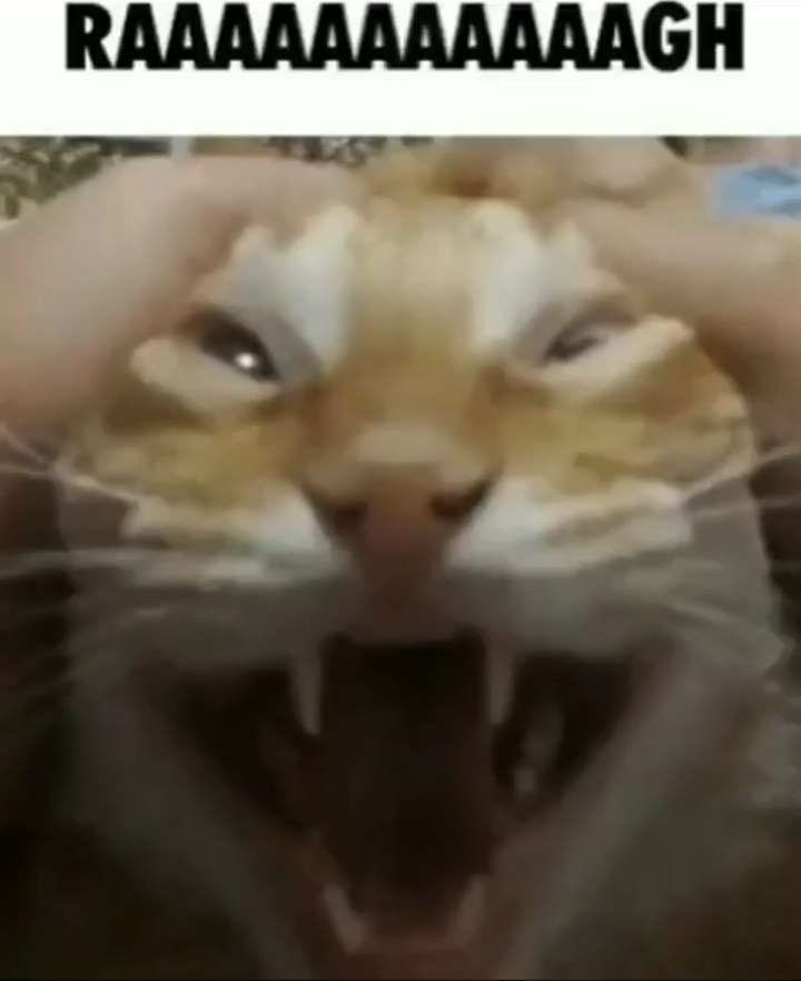 Ms. Turi 💞 tweet media