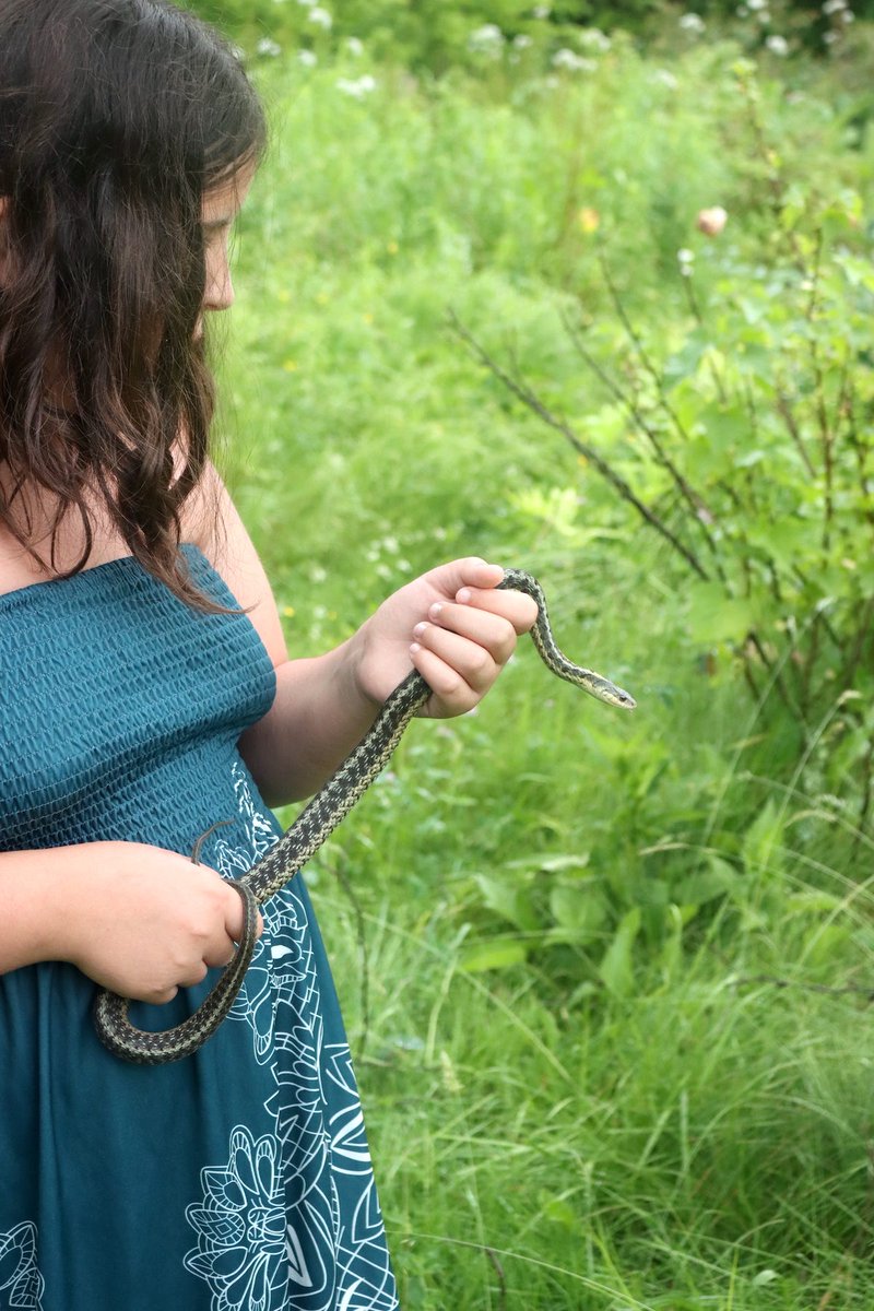 Vermont snakes: nonvenomous, chill, and surprisingly helpful. This little guy’s handling pest control duty like a pro. I’ll take our laid-back reptiles and snowstorms over Florida’s pythons, gators, and hurricanes any day.