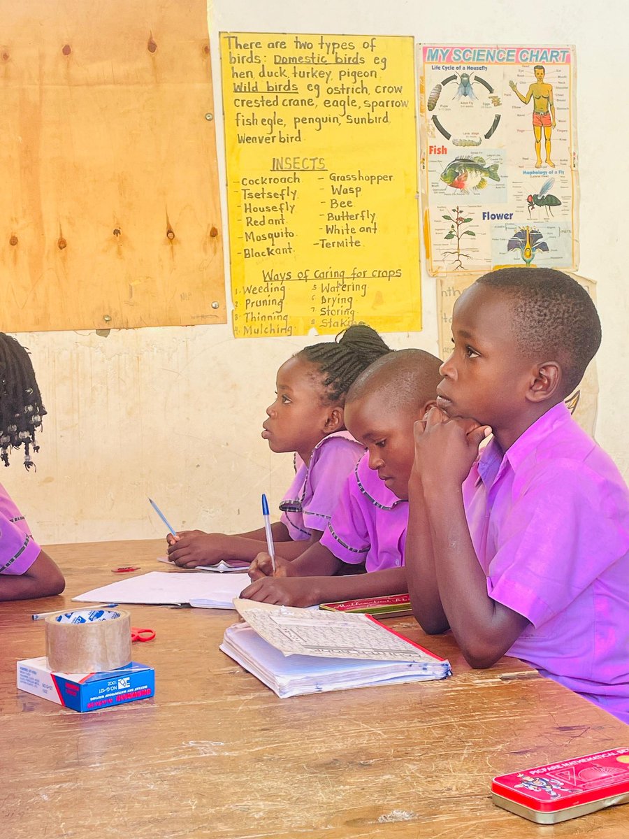 AFRIWISEFDN's tweet image. The future is green and it starts with #empowering young minds!
Yesterday we empowered climate #Education to young learners, teaching them the causes of #climate #change and the #ABCs of #sustainability.
#AWF
#WOJI
#ClimateEducation