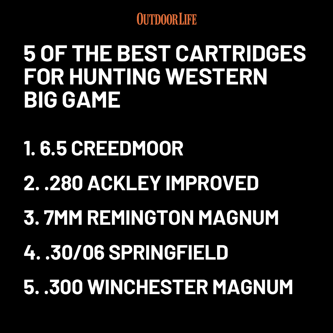 Outdoor Life tweet media