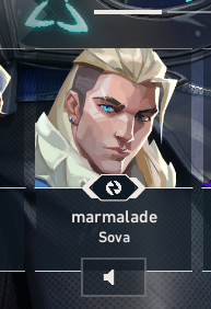 Valorant Draft Circuit tweet media