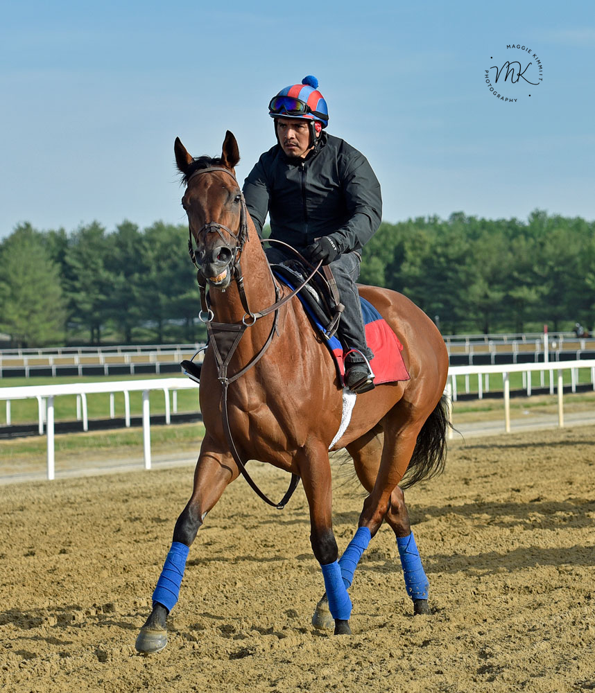 MARKSMAN QUEEN (GB) now a graded stakes winner:

herringswellstables.com/marksman-queen…

#PoweredbyTLore
#HorseBitscuits