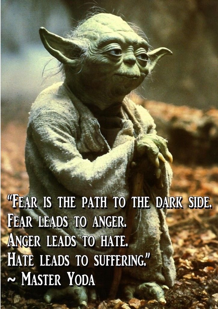 GM
Fear not... Yoda brings news for the coming week 😂