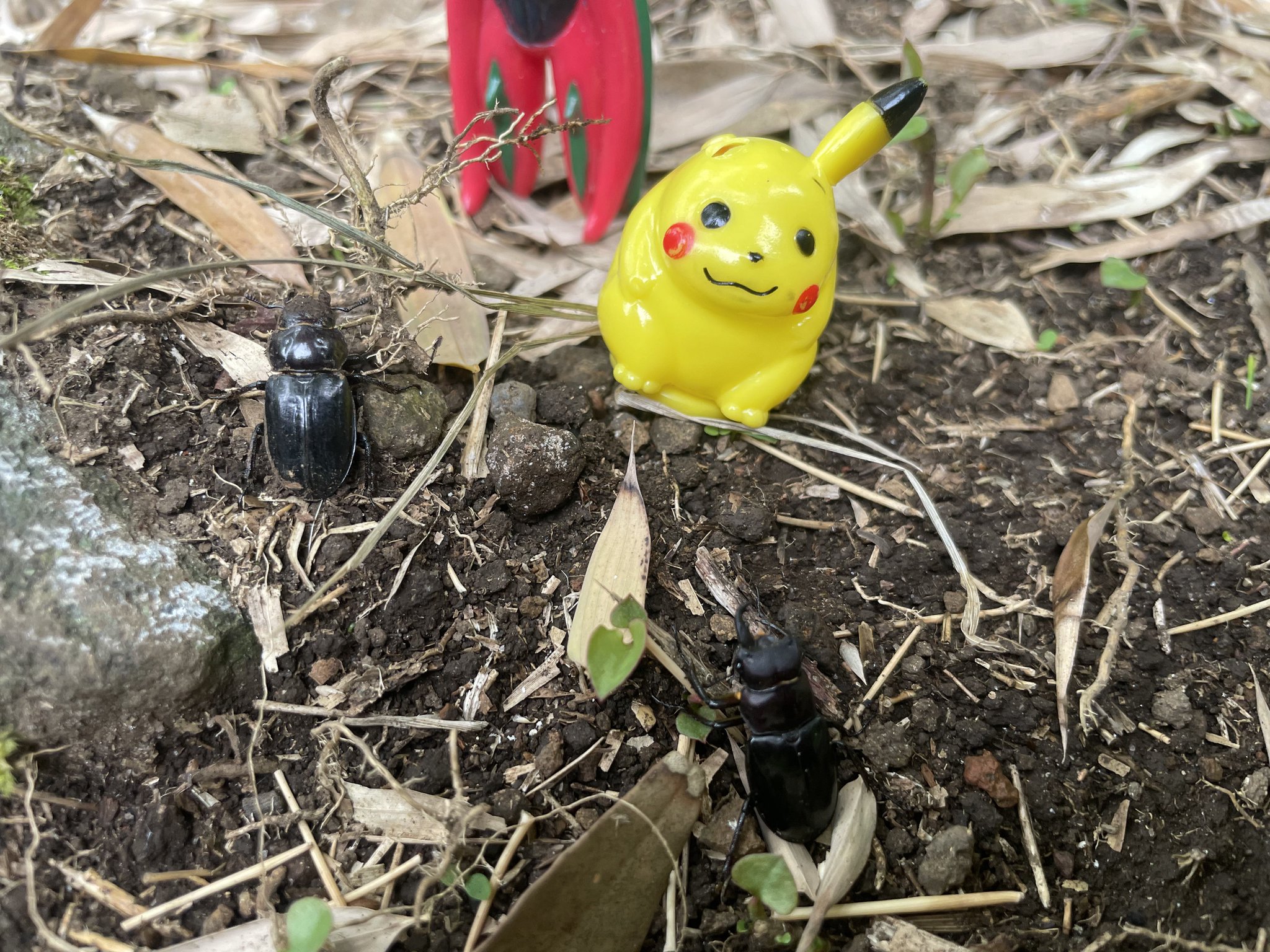ピカチュウの偽物 ピカチュウの偽物