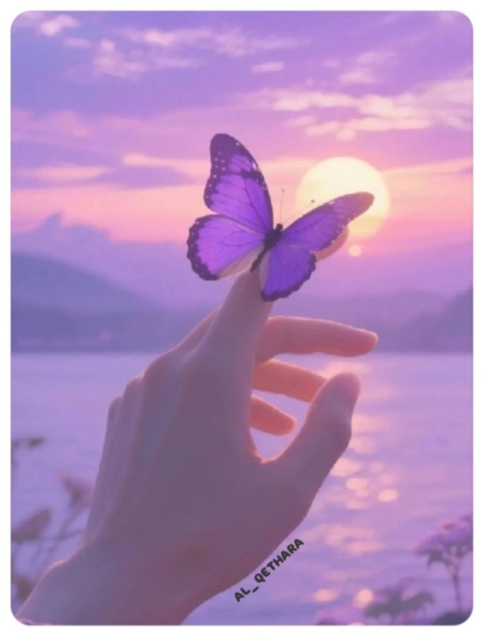 𓂃.𝄞 öȷᒪɹ̈̇ɹ̤᎗ᓆ⅃Ȋ tweet media