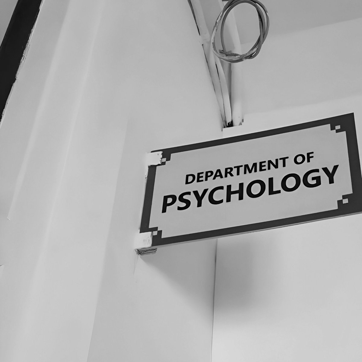 Holly Wood tweet media