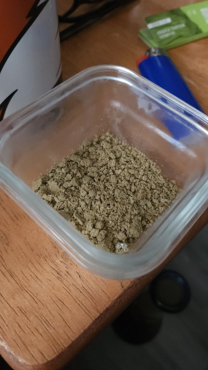 DFDredd's tweet image. 6 strain Hash

Skunk #1, hashplant, AK47, white widow, Skank1, Skank47. 

From wet trim stored in the deep freeze. Ranging from 2 to 8 months. 

Let&apos;s burn one!