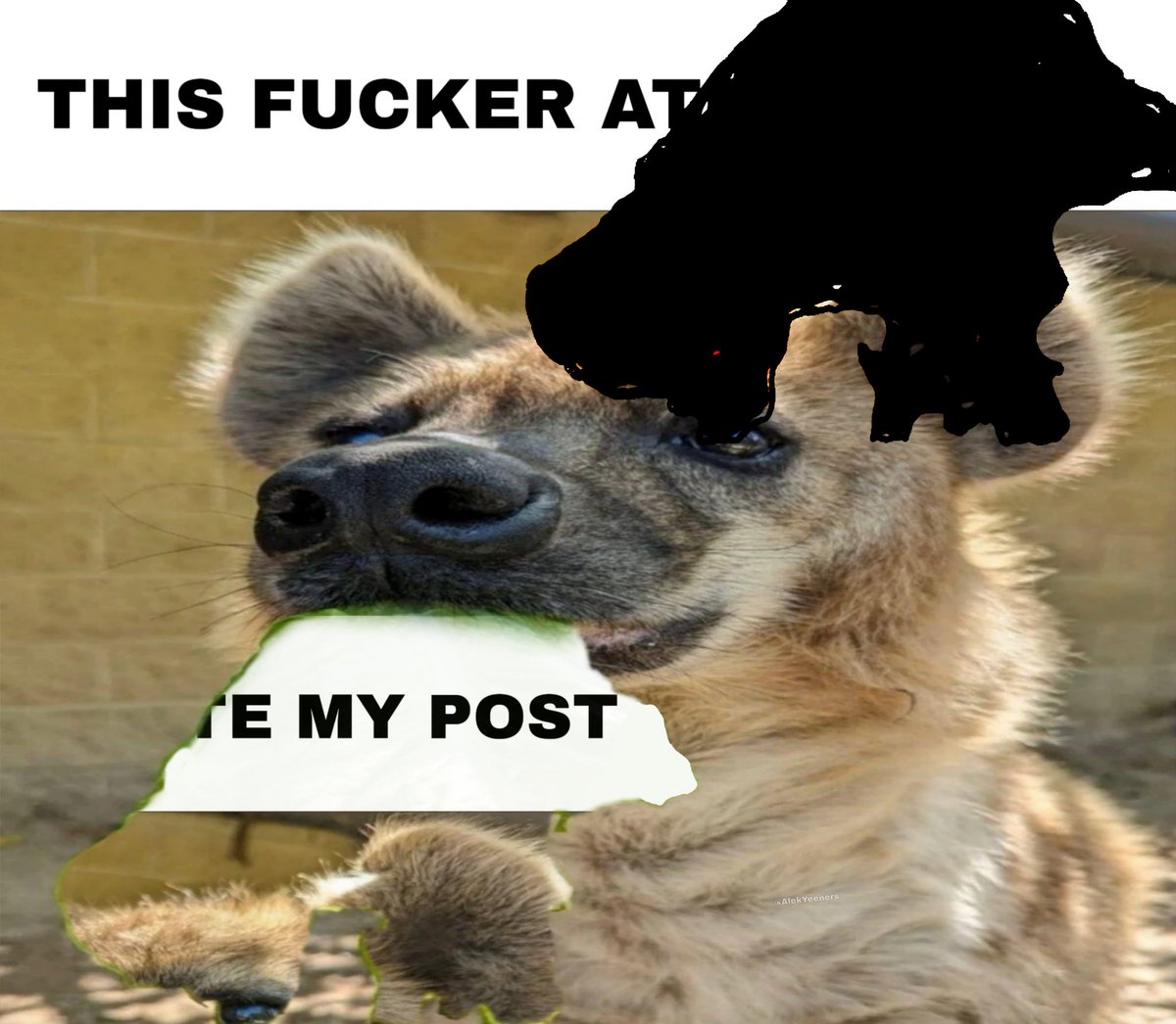 AlekYeeners's tweet image. i think i peaked when i made these edits and i dont think ill ever do better than that ever again