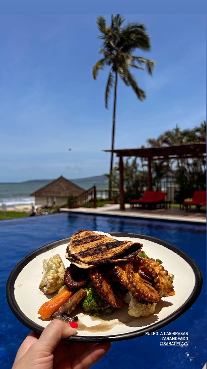 ExpertaViajera's tweet photo. El mejor clima desde en Nuevo Vallarta posterior al huracán Flossie #SabalPlaya 🏖️
Club de playa privado con la mejor atención de la zona 👍🏻 https://t.co/tIo8n3HdnW