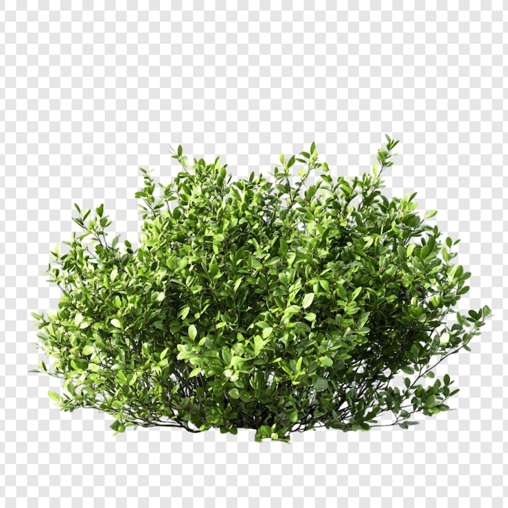 Comment Warchipe "Wawa" se sent après avoir dit 30× qu'il était nul au jeu pour rouler sur l'entièreté du bar 

LR on top avec le robot et le rat jaune 🪇