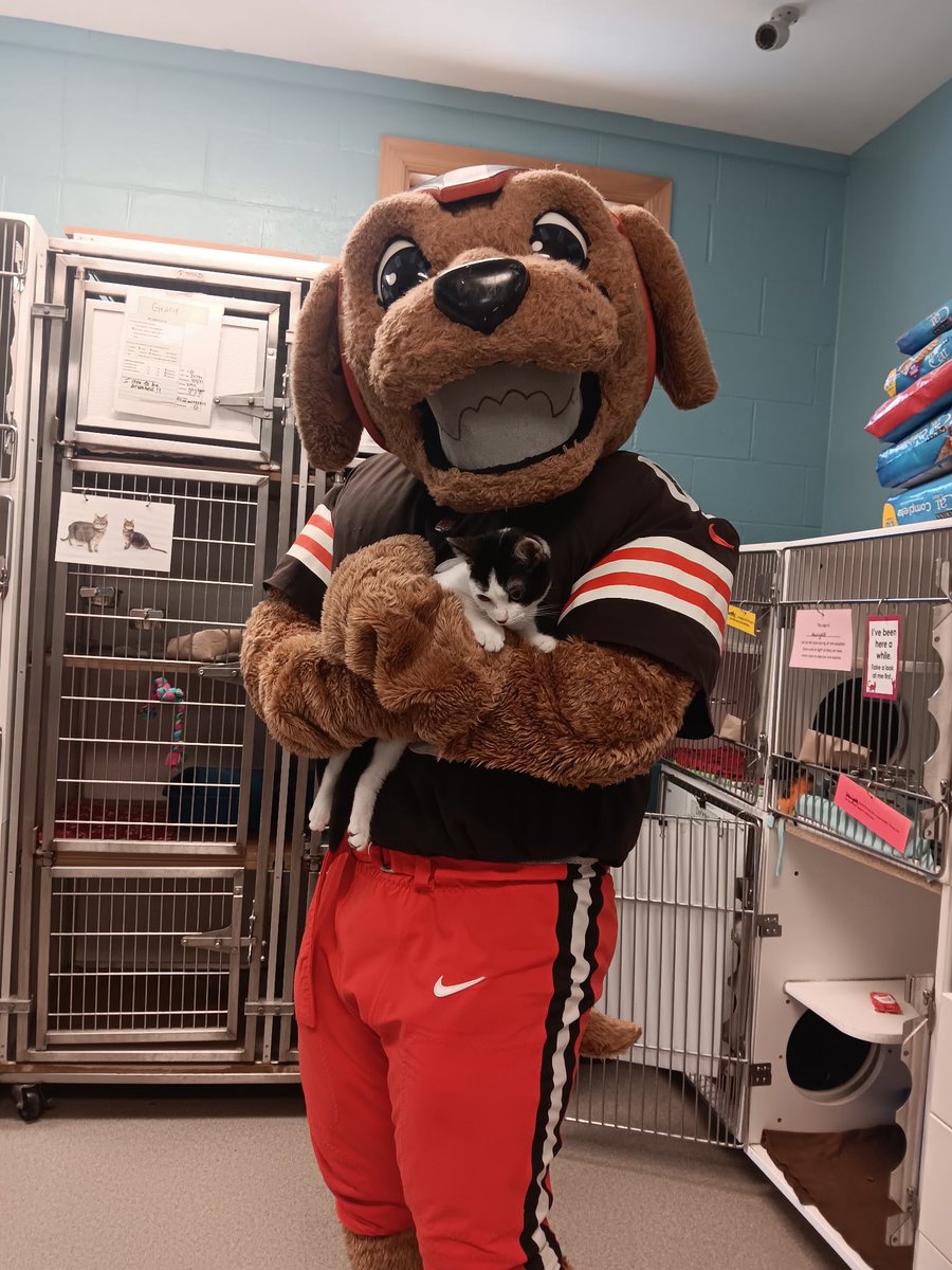 CHA Animal Shelter tweet media