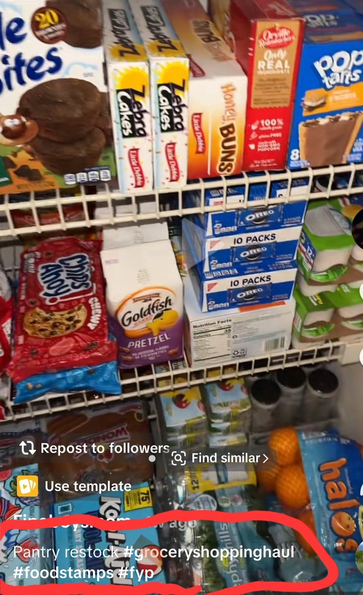 The point of the food stamp videos is that for the last couple days we've been being gaslit into believing that the BBB stipulations on SNAP are going to cause hundreds of thousands of children to starve which is blatantly false. 

I've never seen one child starve to death from