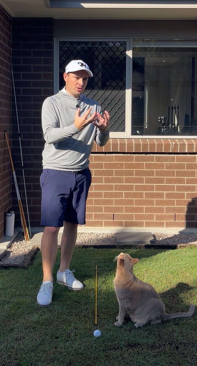 Let’s do a Q&amp;A! 

Ask me anything you want &amp; I will do my best to help you 👊🏼