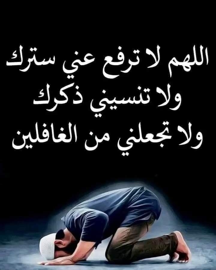 ام فاتن tweet media