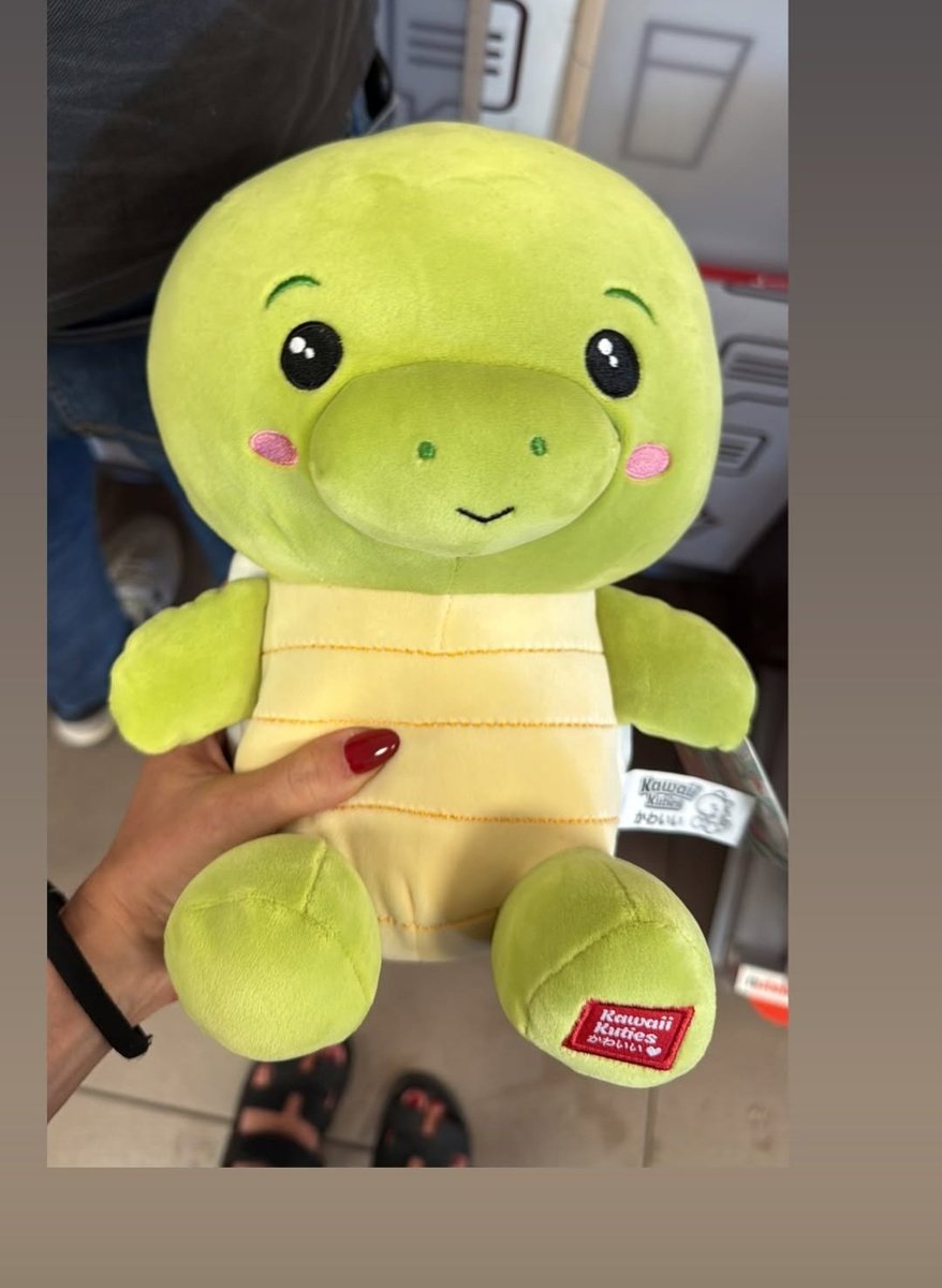 La loro bonaggine😍 e la tenerezza del tartuchino🫠🎀🐢 #tommavi