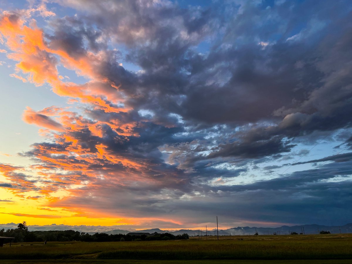 Happy 4th to everyone except the person who brought veggie dogs 🌭