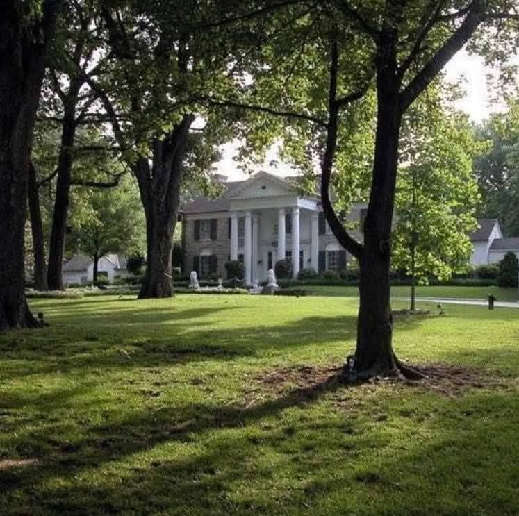 Julielouisesha1's tweet photo. Graceland tonight wish I could walk from them gates walk up too his house  #Graceland https://t.co/3uMzuOPgrg