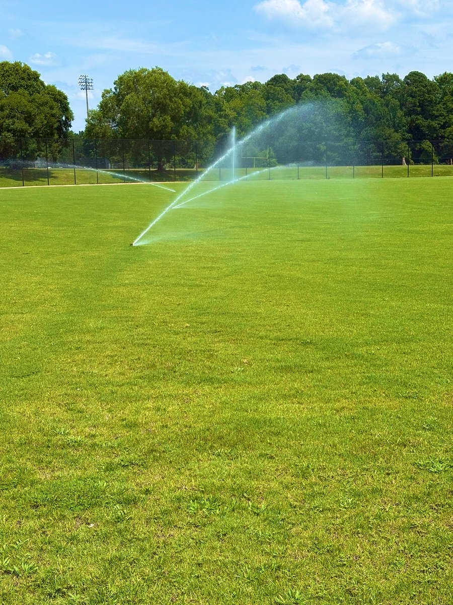 SEDiamondDawgs's tweet image. The 4th cut of the week. This Bermuda loves the heat and it showing how much it does.
#ThisIsSoutheast
#Exit300