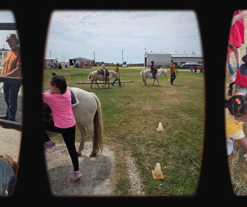 BSLSchool_wpg's tweet photo. The Kindergarten and Grade 1/2 classes had a fantastic year-end fieldtrip at Morning Sound Farm in Sanford, MB! Students had the opportunity to milk a goat and even walk through a cattle chute. It was a fun-filled day full of hands-on learning, and plenty of smiles. https://t.co/TLLwKMCN34
