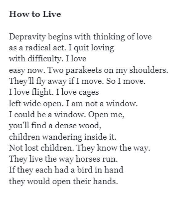 poemsfornamjoon's tweet photo. https://t.co/DivNgm8cRV
