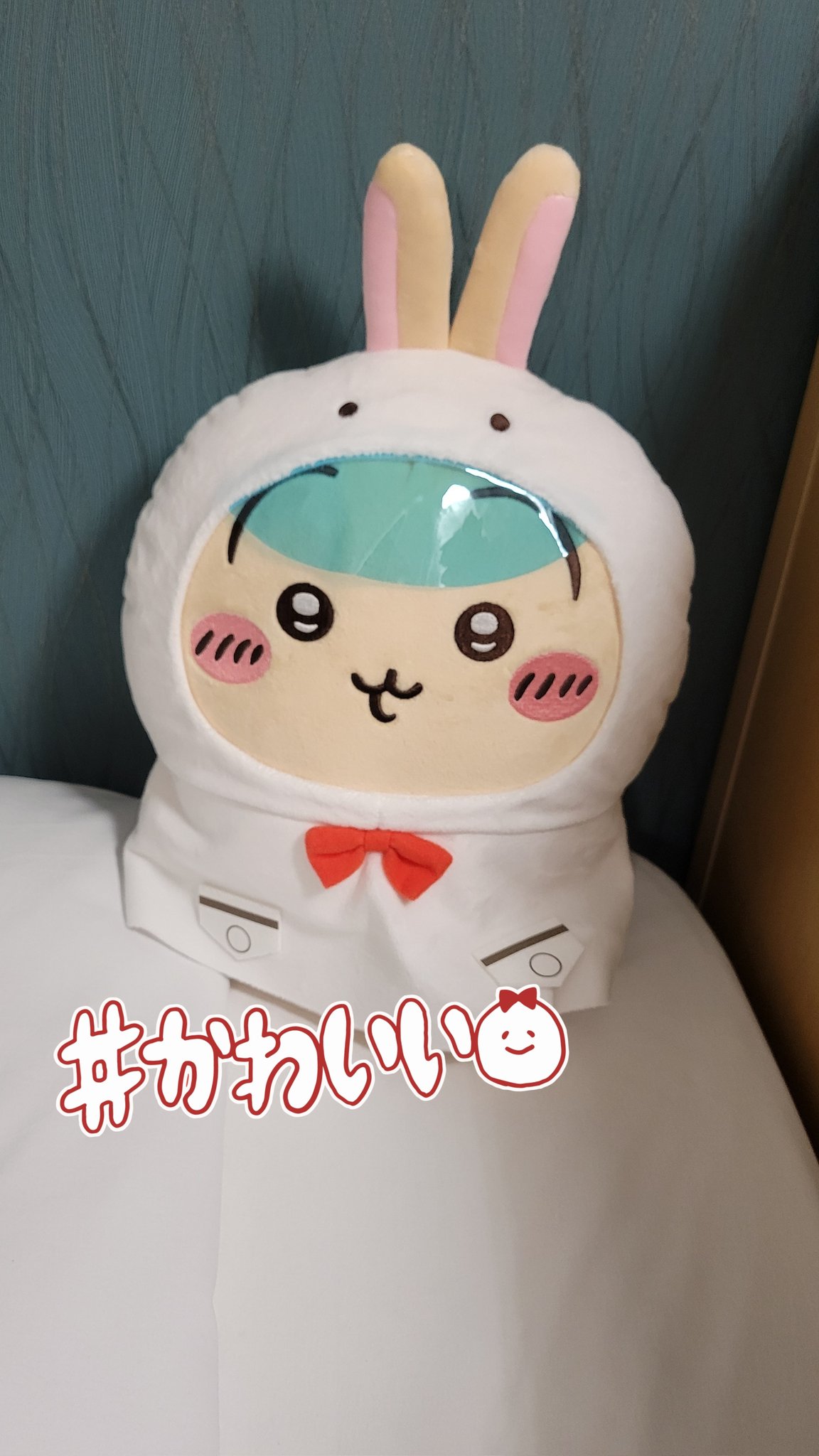 ここあ🐰 (@cocoa_love02) / X