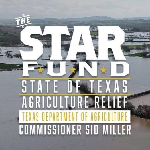 GOTEXAN's tweet image. Commissioner Sid Miller is monitoring the Kerr County flooding and has activated the STAR Fund to support those impacted. TDA is providing hay for livestock and mental health support via the AgriStress Helpline: (833) 897-2474.
Visit here: texasagriculture.gov/Home/Productio…