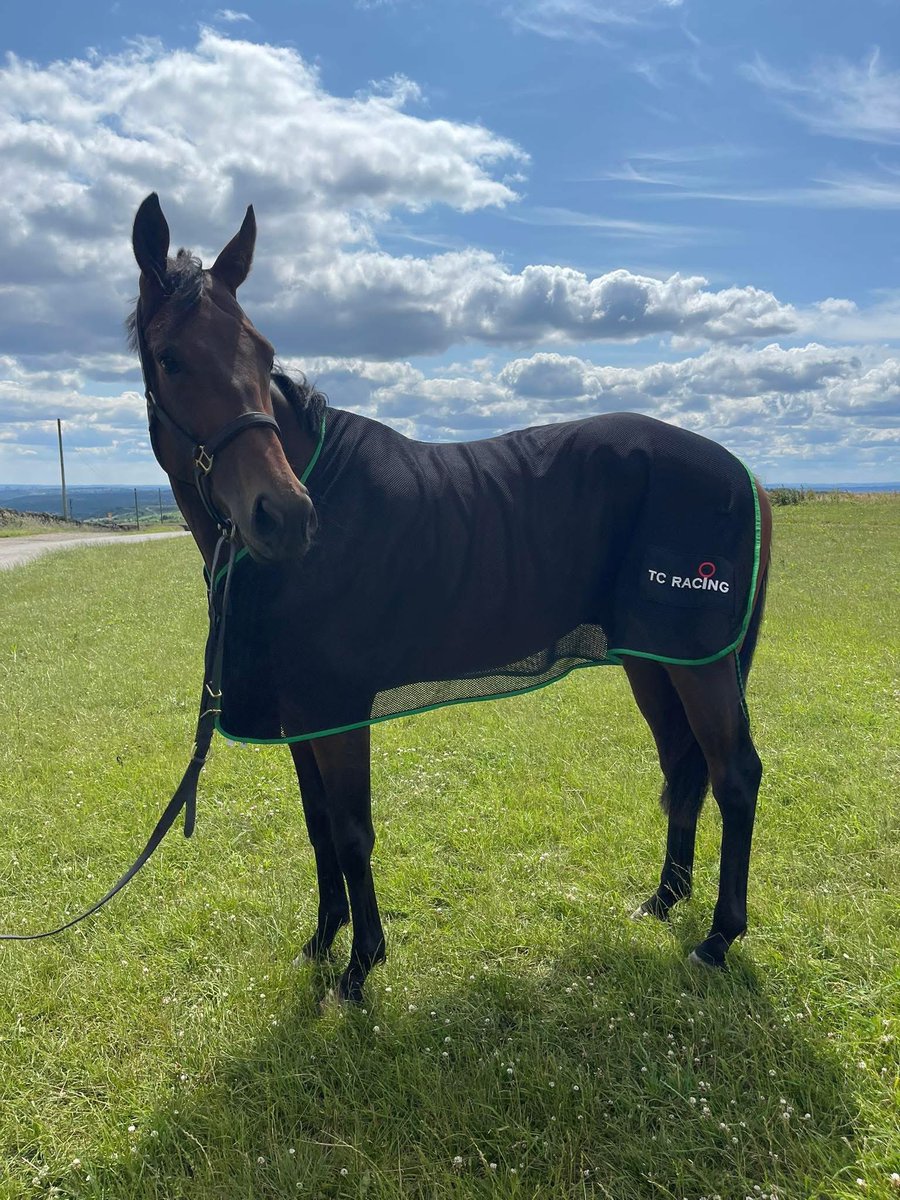J Parkinson & S Smith Racing π (@jpandssracing) on Twitter photo We have one runner tomorrow at <a href="/MarketRasenRace/">Market Rasen Racecourse</a>
Jailbird makes her stable debut in the 2:00 handicap hurdle 2m4f π
To be ridden by William Maggs.
Best of luck to all the team and connections β We have one runner tomorrow at <a href="/MarketRasenRace/">Market Rasen Racecourse</a>
Jailbird makes her stable debut in the 2:00 handicap hurdle 2m4f π
To be ridden by William Maggs.
Best of luck to all the team and connections β
