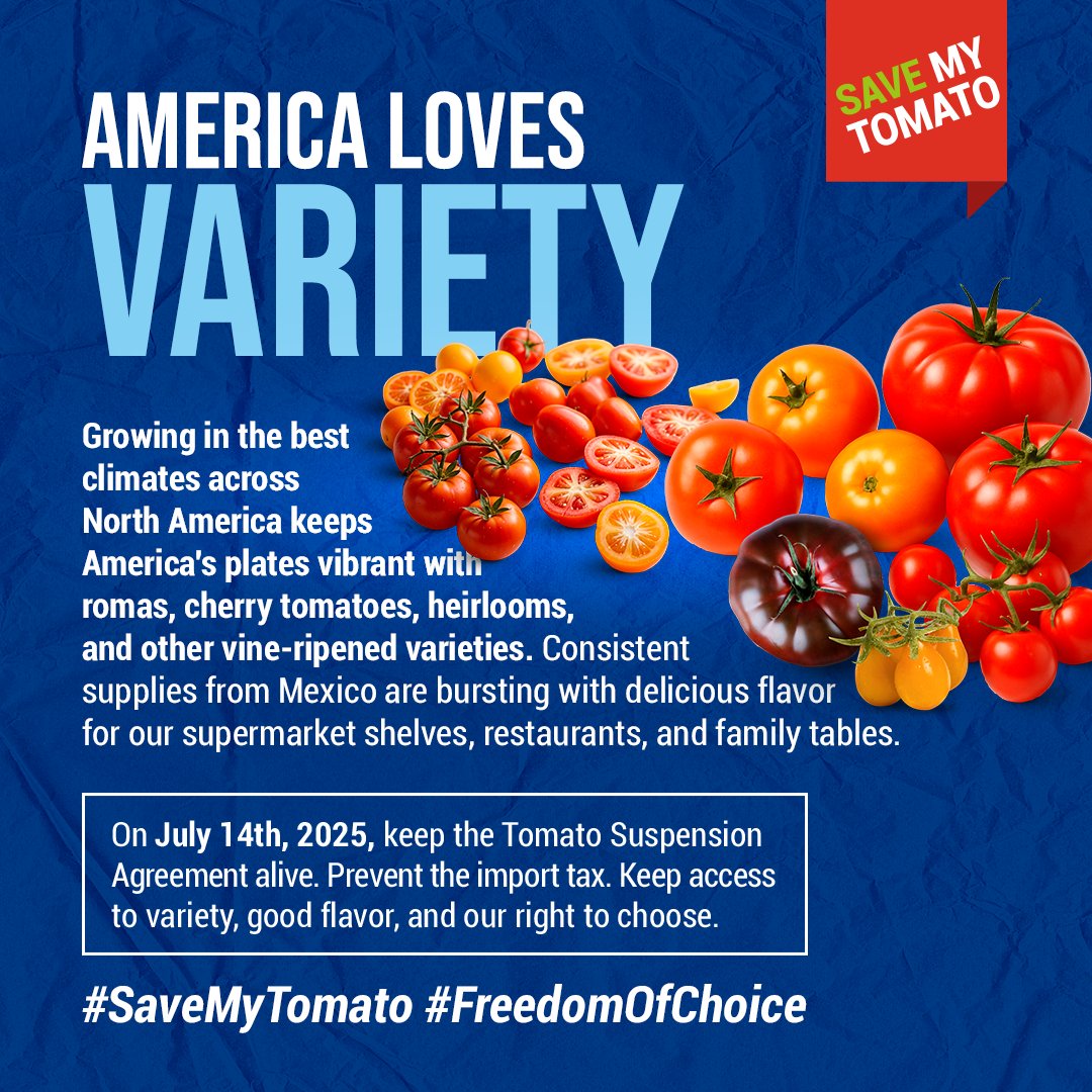Save_mytomato's tweet photo. North America’s best climates = vibrant romas, cherries, heirlooms &amp; more 🍅
Let’s  keep the flavor flowing to shelves, restaurants &amp; tables across the US.
#SaveMyTomato #FreshTradeOurChoice https://t.co/ahcuuYe8ez