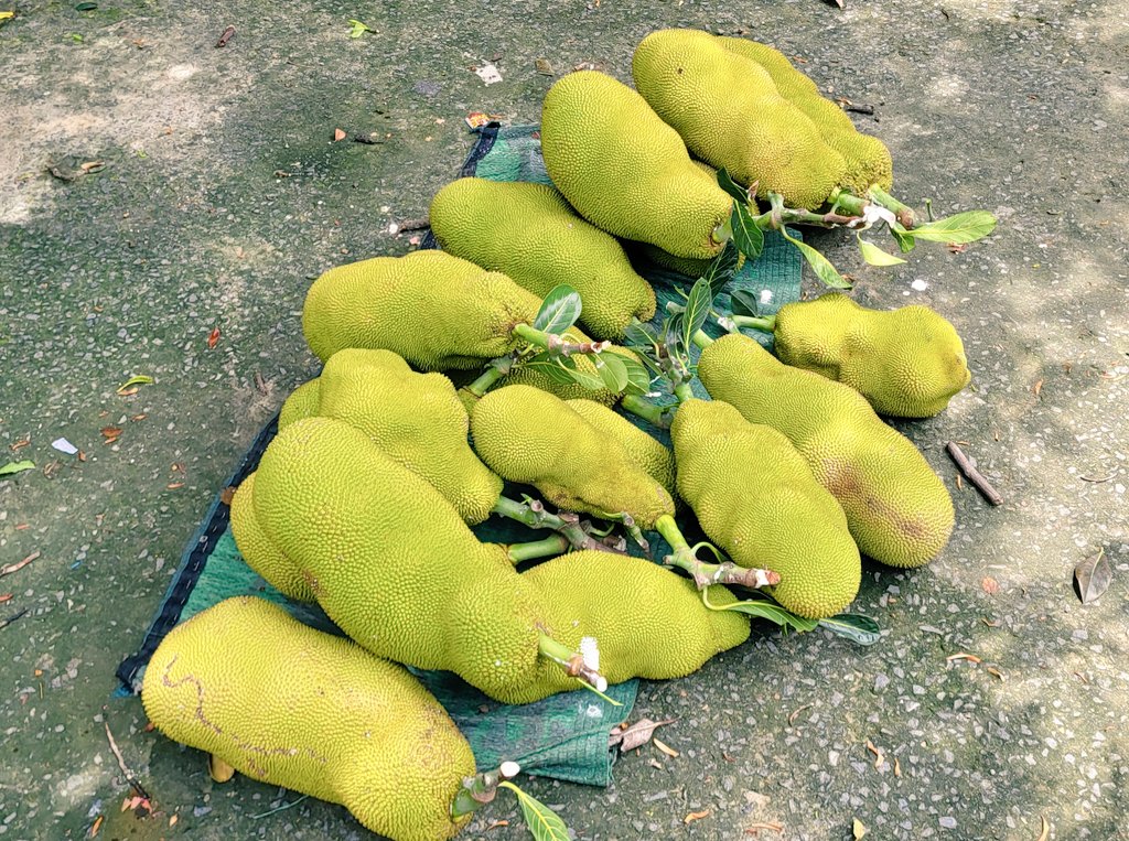 भंडारा हो जाए ?