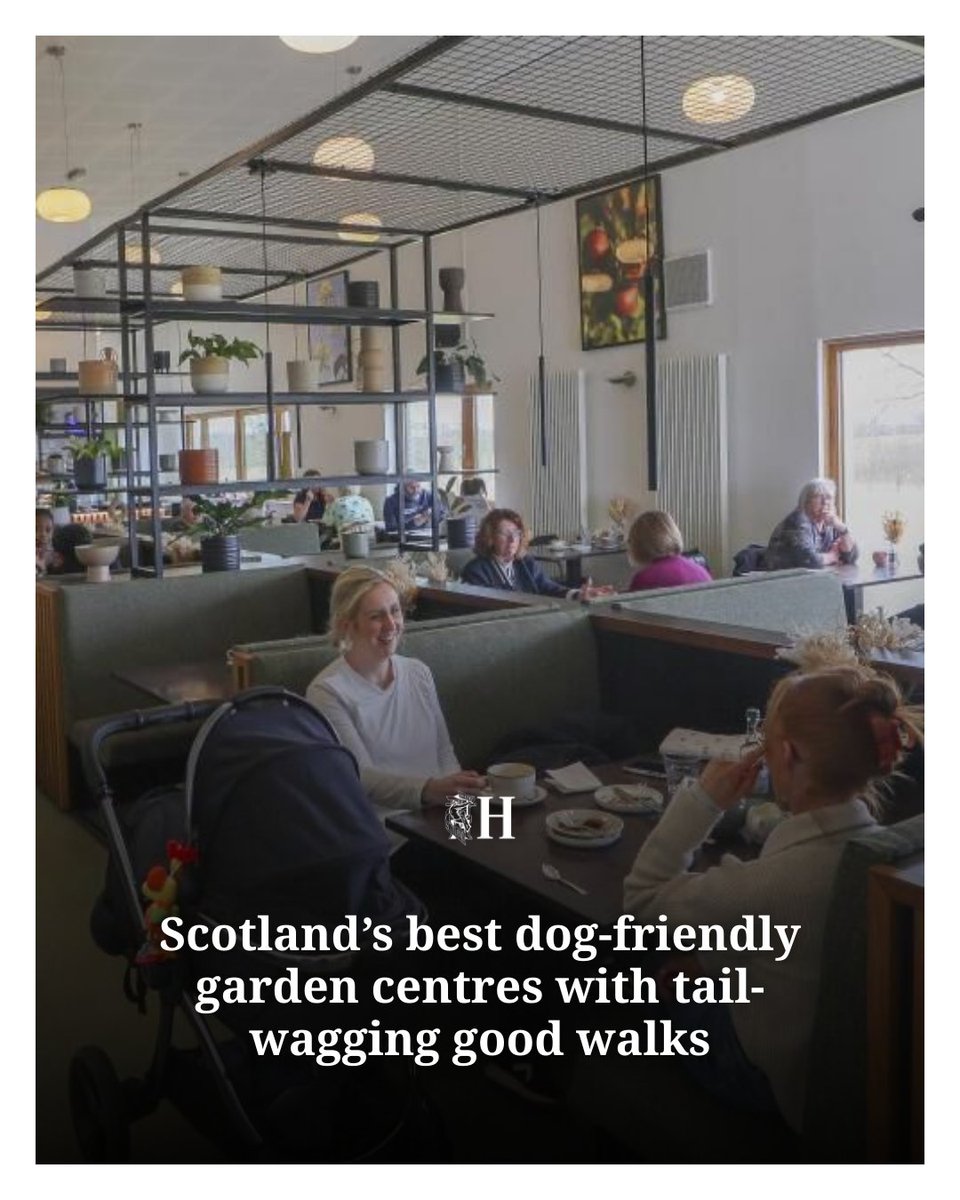 Let's go to Scotland's best dog-friendly garden centres 🐕