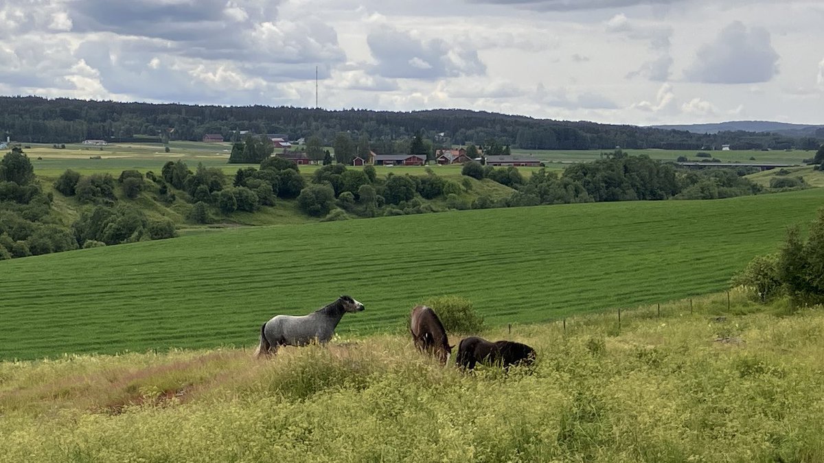 Ainakin kerran kesässä pitää ajaa Vanha Perttelintie Perttelin kirkolta #Salo’on. Tie oli nyt viime vuosia paremmassa kunnossa. #pyöräily #maisema