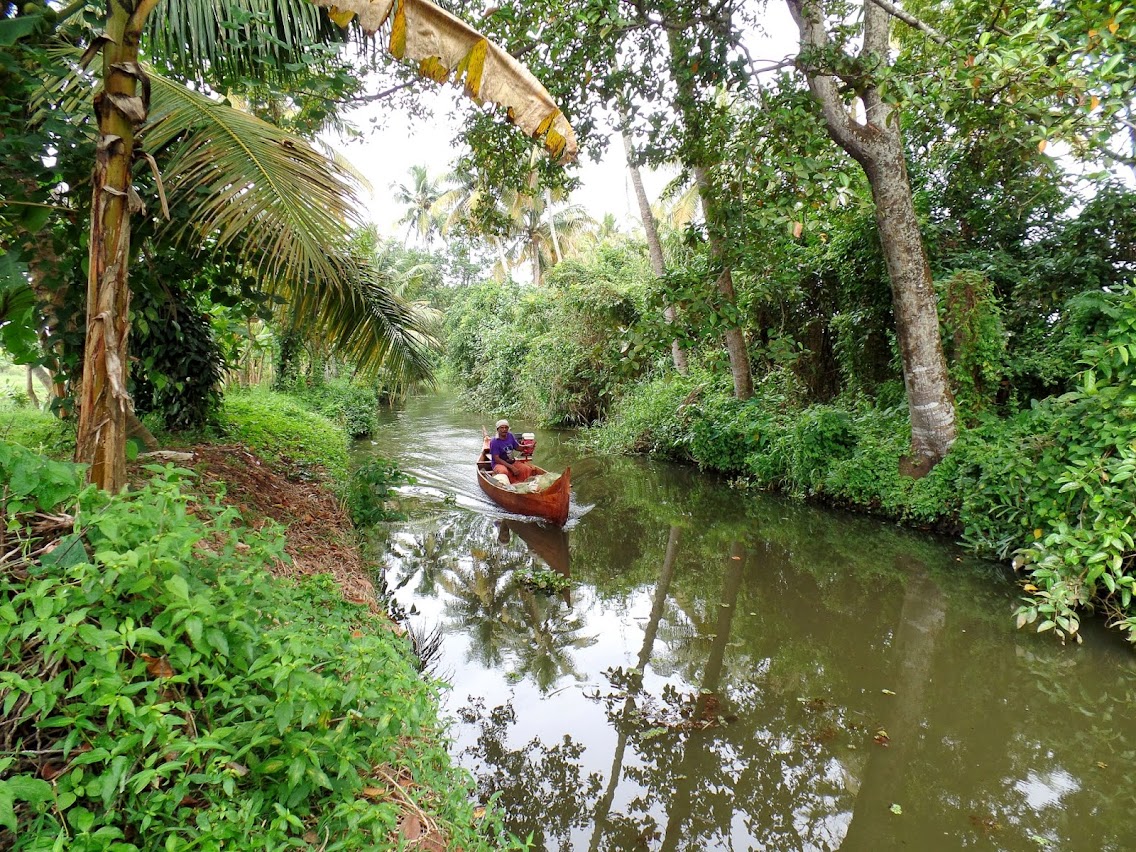 A village scene from Kumarakom (Kerala, India) : instagram.com/kencegeorgey/