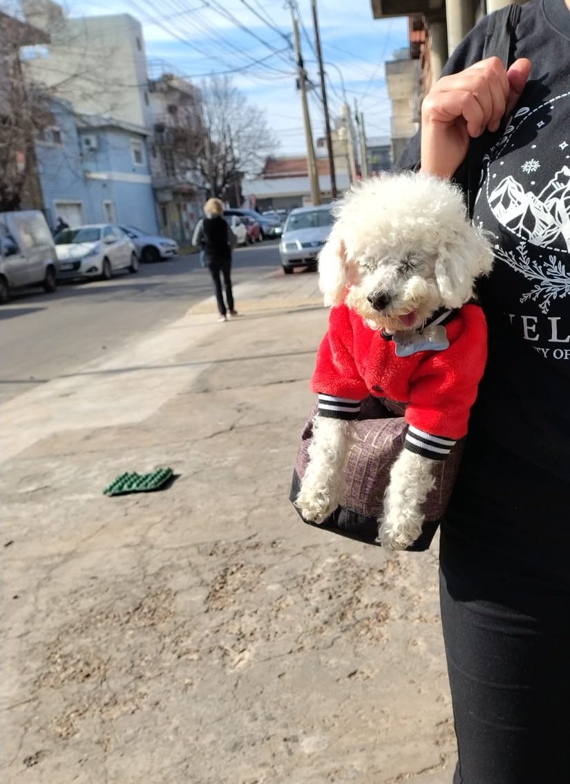 Salimos a pasear con Marcelito 
#FelizSábado para todos!!!