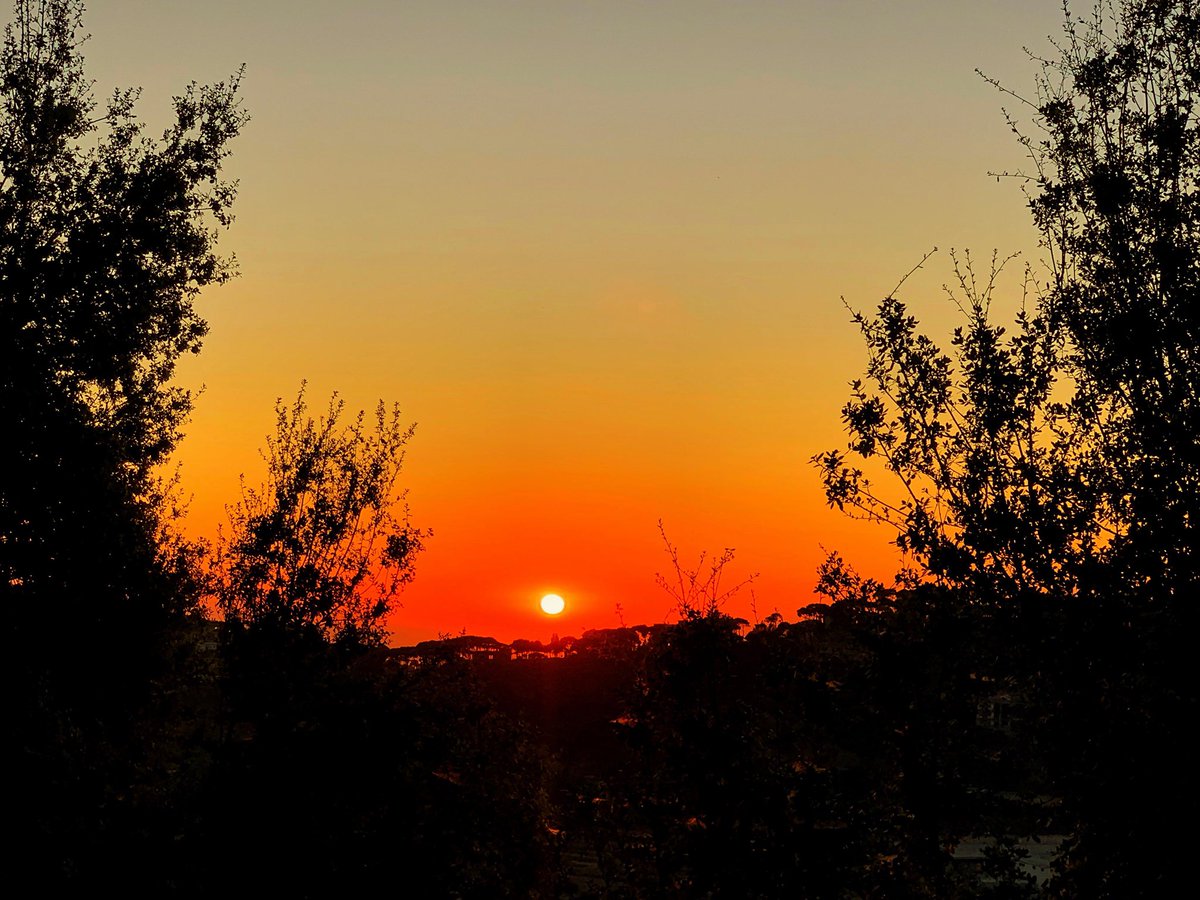 serena_sal's tweet photo. I wish time would linger when everything feels good โค๏ธโ๐ฅ
#mysunset
#myescape https://t.co/S1VnTPxQjB