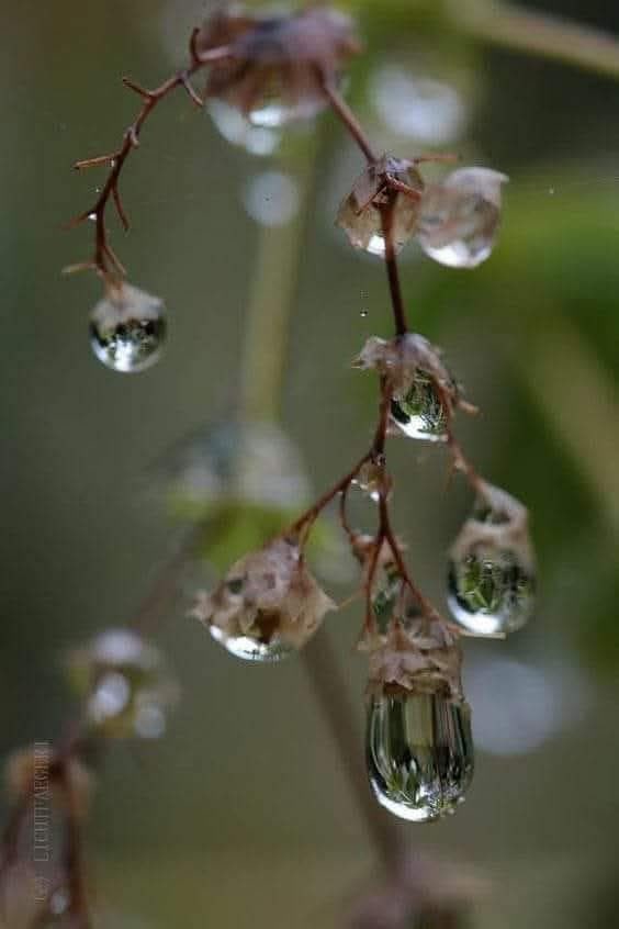Por muy mal que vayan las cosas, Siempre hay algo por que sentirse feliz.