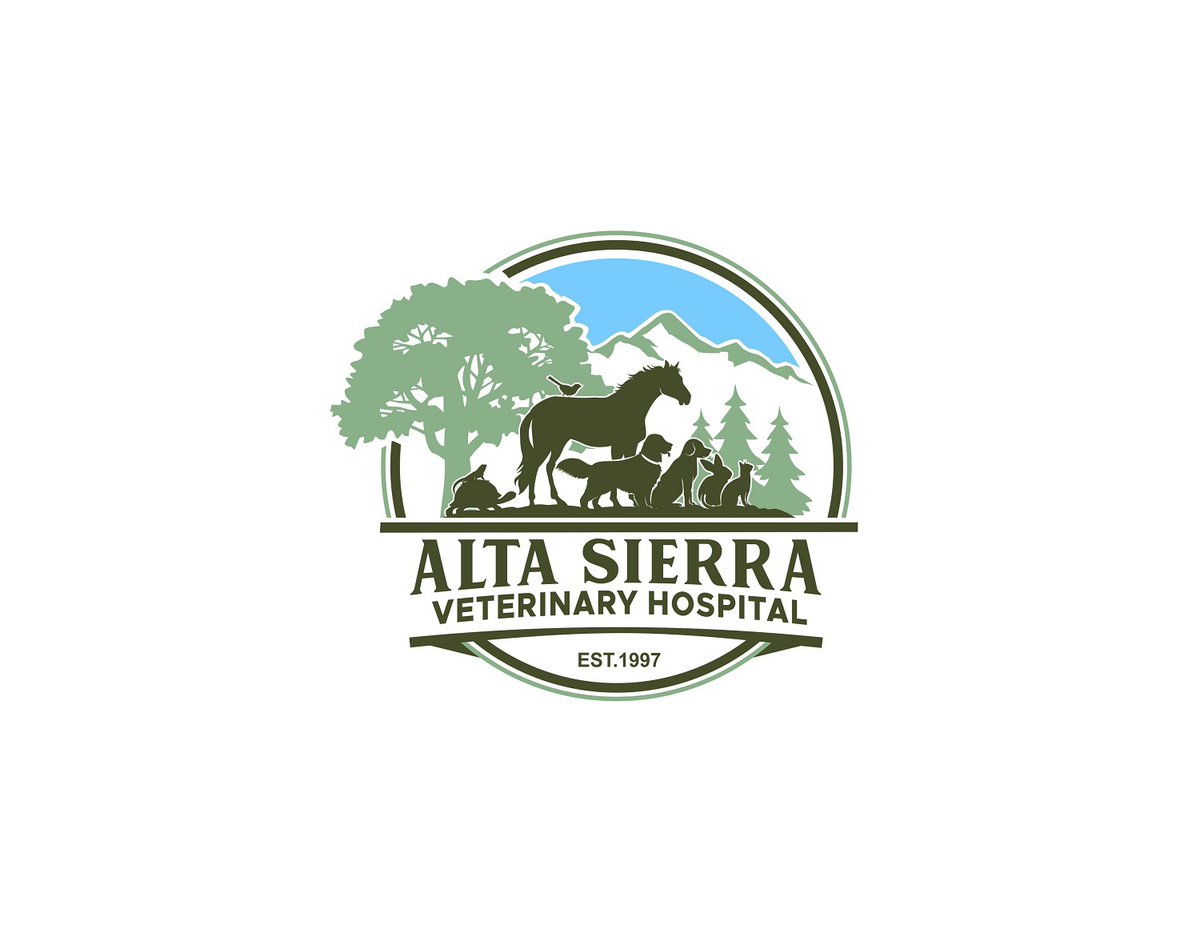 MstShimpy's tweet image. Modern animal dog pet care veterinary logo
fiverr.com/s/99W7oGx
#ModernPetLogo, #ProfessionalAnimalCare, #DogTrainingBranding
#CatKennelDesign, #EquestrianPetsLogo, #VeterinaryBrandIdentity, #AnimalCareCompany, #PetDogBrand, #RuPaulsDragRace