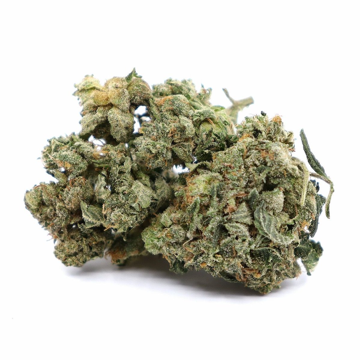 🪙POSTED BY CANADIAN CANNABIS FLOWERS🪙

Visual Characteristics: Chem Dawg typically features dense, medium to large-sized buds that are visually striking. The buds are often a vibrant green color, interspersed with orange or amber pistils. They are covered in a thick layer of