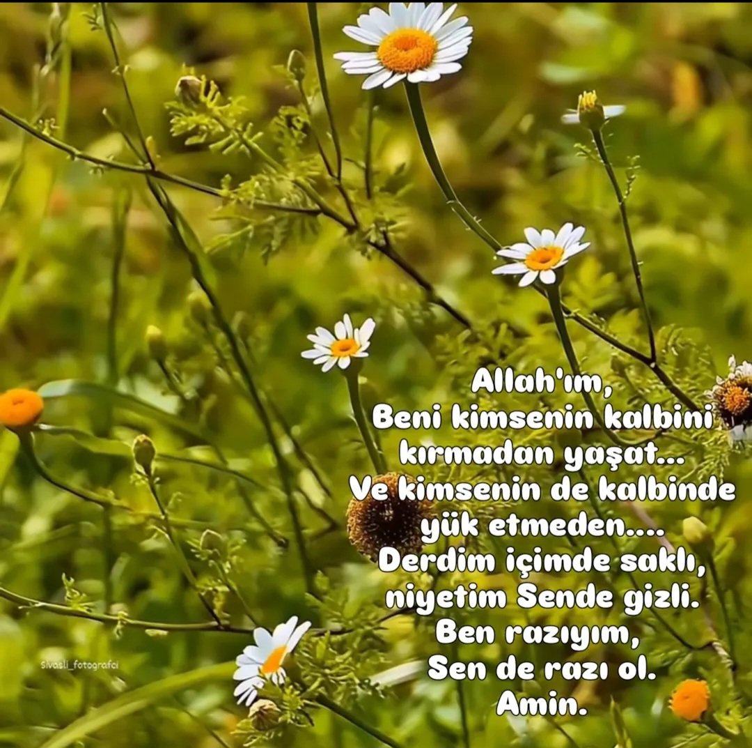 KUZEY (@trbz29) on Twitter photo Hayırlı akşamlar 👋 Hayırlı akşamlar 👋