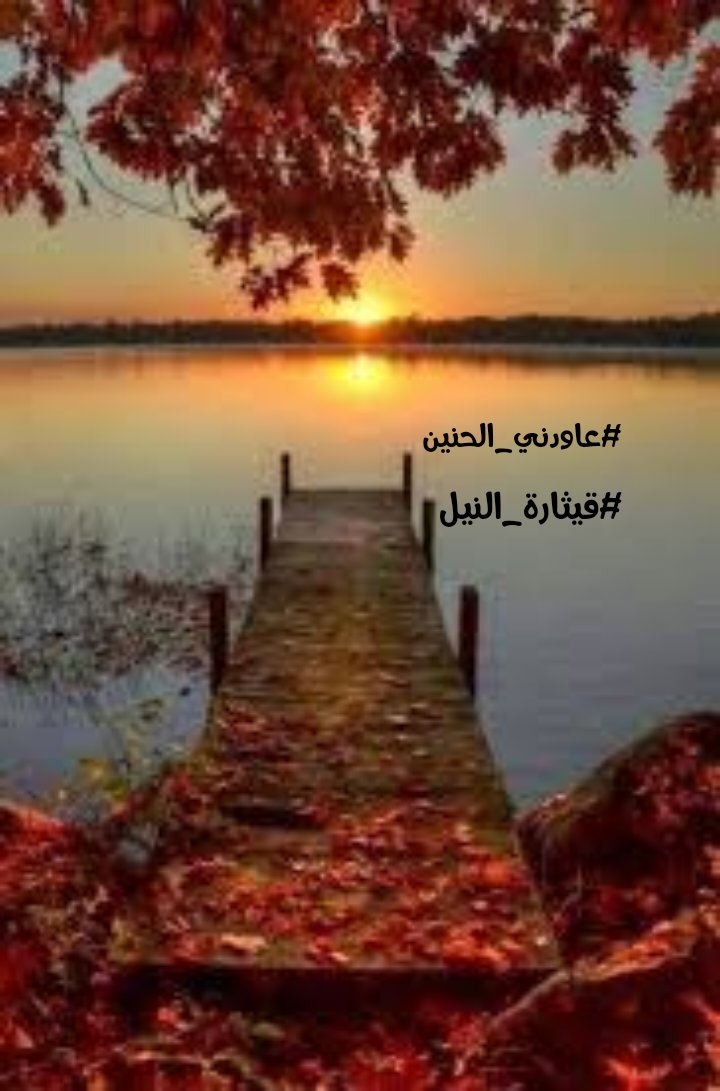 #عاودني_الحنين 
البارحة
بيدي هاتفي والفراغ يقتلني
رأيت صورة إخترقت مقلتي
صرخت داخلي والشوق يسمعني
هوس من العشق إنتابني يا ويلتي
يا قلب ماذا دهاك حين رأيتها
فاض دمعي و الحزن نهاية رحلتي
يا نفس لا تسعي إليها فإنها رحلت
وما بقى من عشقها سوى علتي
#عاودني_الحنين 
#قيثارة_النيل