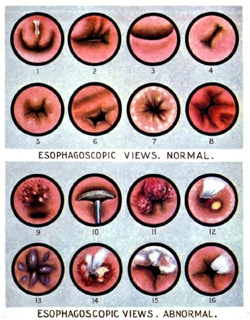 Shahin Ayazi tweet media