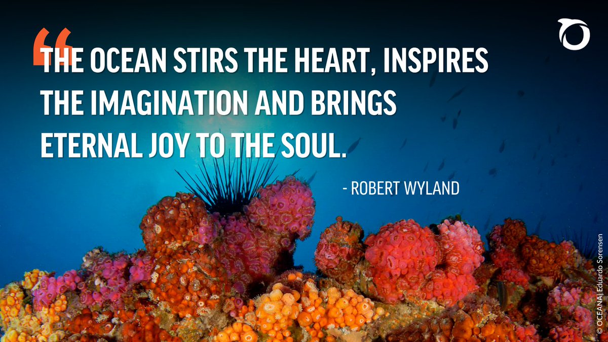 On this blue planet, we are all connected to oceans. 🌊 

Join Oceana today to support our campaigns to win critical victories for more vibrant &amp; abundant oceans:  oceana.ly/3RdHuVe #StandForOceans