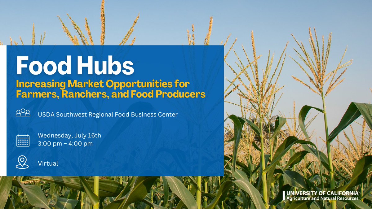 ucanr's tweet image. Join the @USDA Southwest Regional Food Business Center for a free webinar on food hubs—part of a quarterly series supporting local producers &amp;amp; food businesses in AZ, CA, NV &amp;amp; UT. 
@sarep_ag is a co-host.

Register: bit.ly/44visXp 
#FoodHubs #LocalFood #USDA