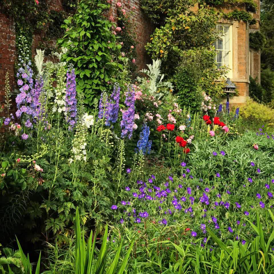 Experience Oxfordshire (@experienceox) on Twitter photo Don't miss Thenford Arboretum's Summer Garden Open Day on Fri 11 July. π·π
Book tickets now β‘ bit.ly/4eigv55
#ExperienceOx #Thenford #Oxfordshire <a href="/thenfordgardens/">Thenford Arboretum & Gardens</a> Don't miss Thenford Arboretum's Summer Garden Open Day on Fri 11 July. π·π
Book tickets now β‘ bit.ly/4eigv55
#ExperienceOx #Thenford #Oxfordshire <a href="/thenfordgardens/">Thenford Arboretum & Gardens</a>